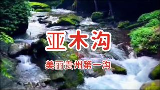 最好的旅程